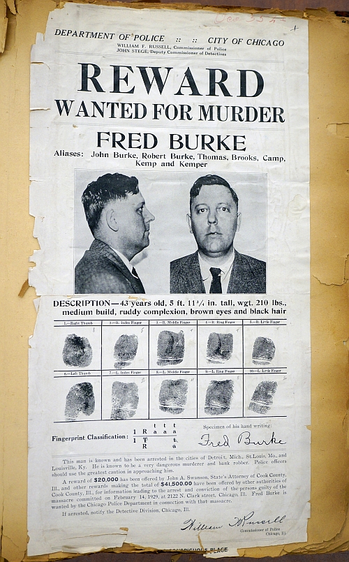 Wanted notice for Fred Burke.