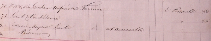 Detail of Belleville assessment roll for Pinnacle Street, 1877.