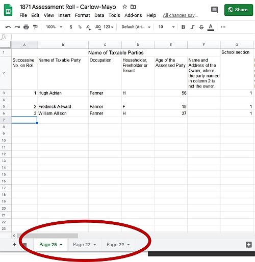 Screenshot of data entry form with tabs circled.