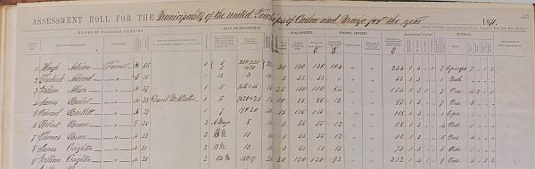 Detail of Carlow Mayo assessment roll