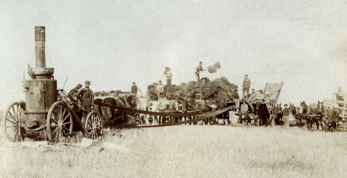 Men working around a threshing machine.