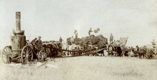 Men operating a threshing machine.