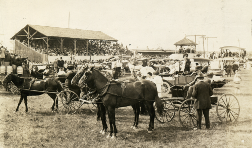 Grandstand and horses at the Belleville Exhibition.