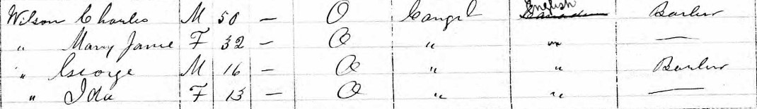 1871 census listing for Wilson family