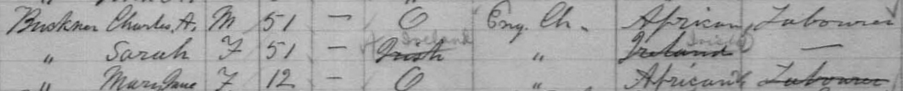 1881 census information for Buckner family