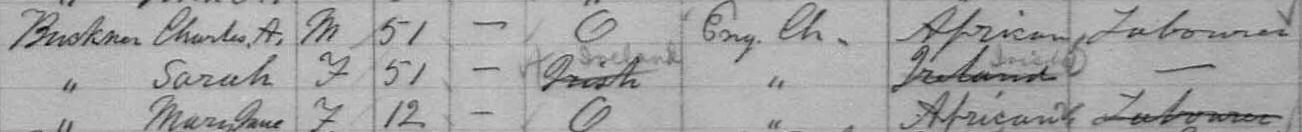 1881 census information for Buckner family