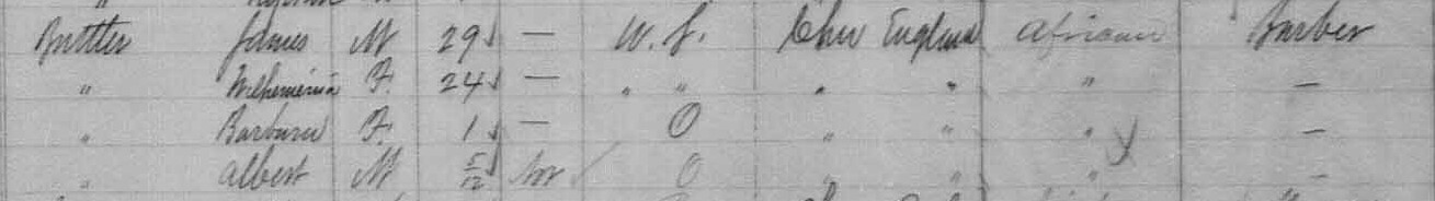 1881 census information for Butler family