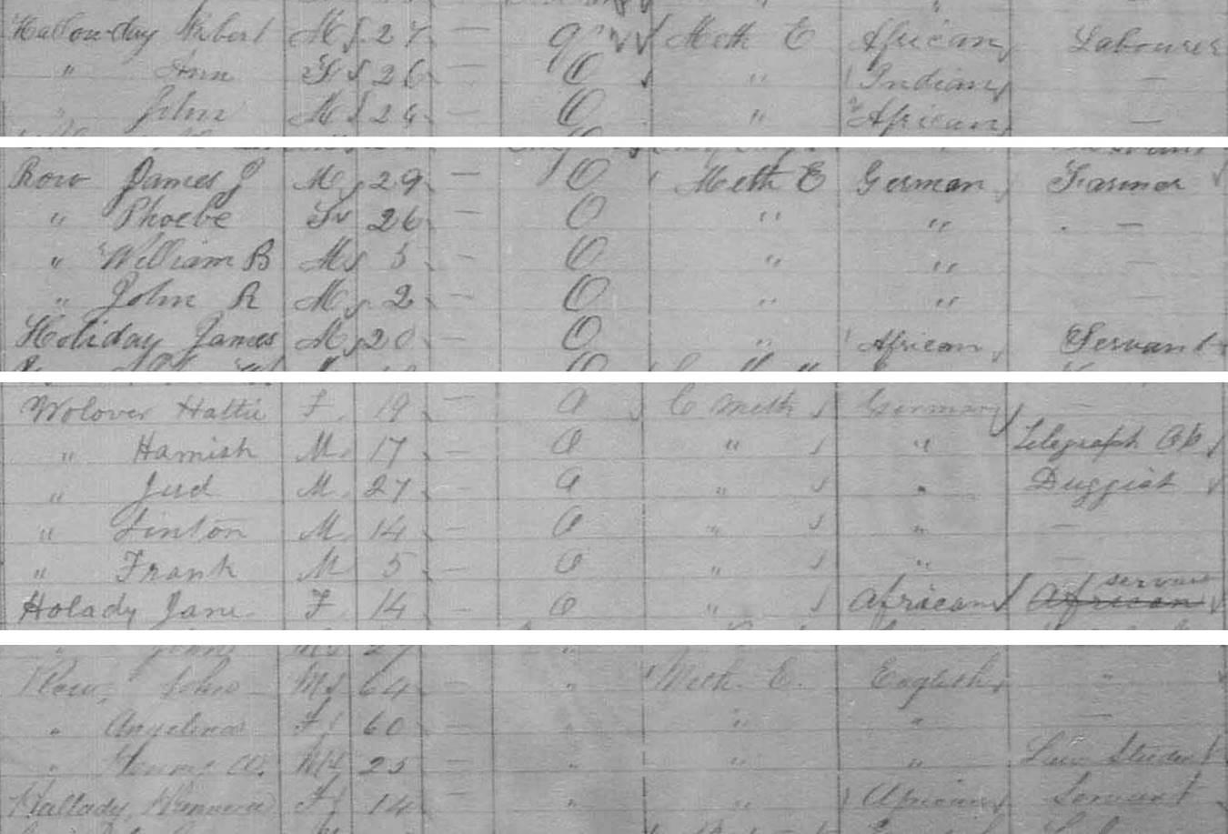 1881 census information for Halliday family