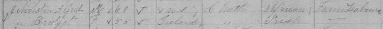 1881 census information for Johnston family