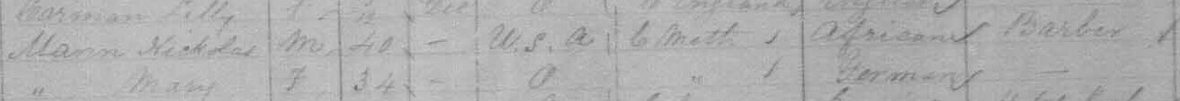 1881 census information for Mann family