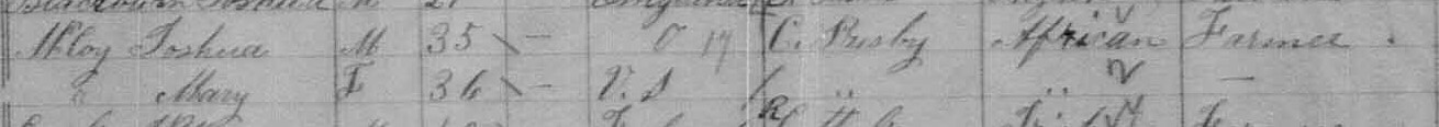 1881 census information for McCoy family