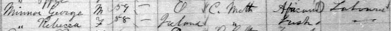 1881 census information for Minnoe family