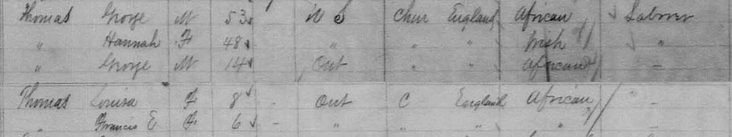 1881 census information for Thomas family
