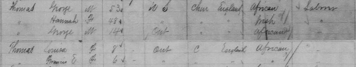 1881 census information for Thomas family