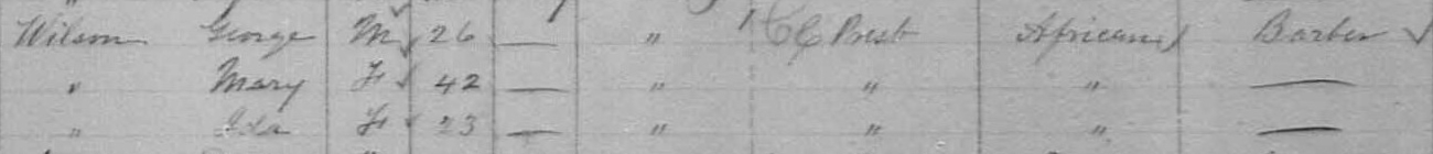 1881 census information for Wilson family