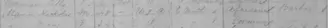 1881 census entry for the Mann family of Belleville.