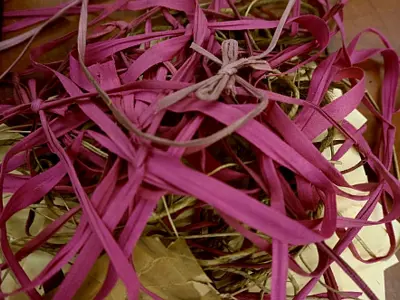 Pile of red tape.