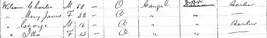 1871 Census For Wilson Household.