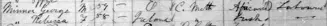 1881 census entry for the Minor family of Belleville.
