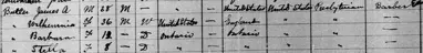 1891 Census For Butler Family.