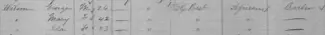 1881 census entry for the Wilson family of Trenton.
