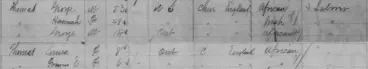 1881 Census For Thomas Family.